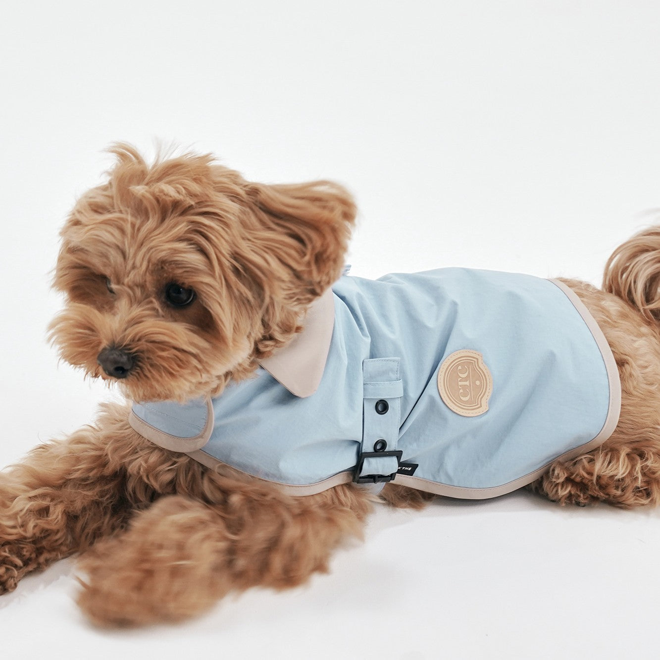 【予約】Tailoring Wind Jacket