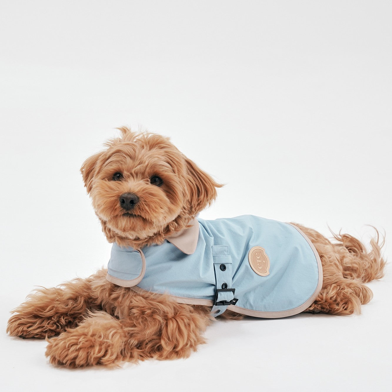 【予約】Tailoring Wind Jacket