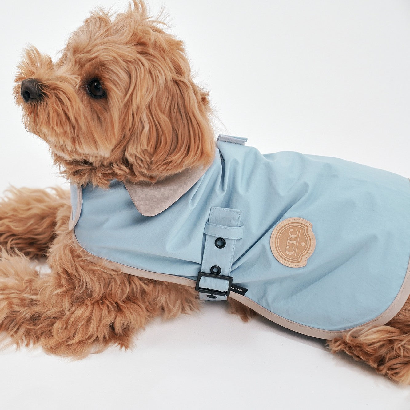 【予約】Tailoring Wind Jacket