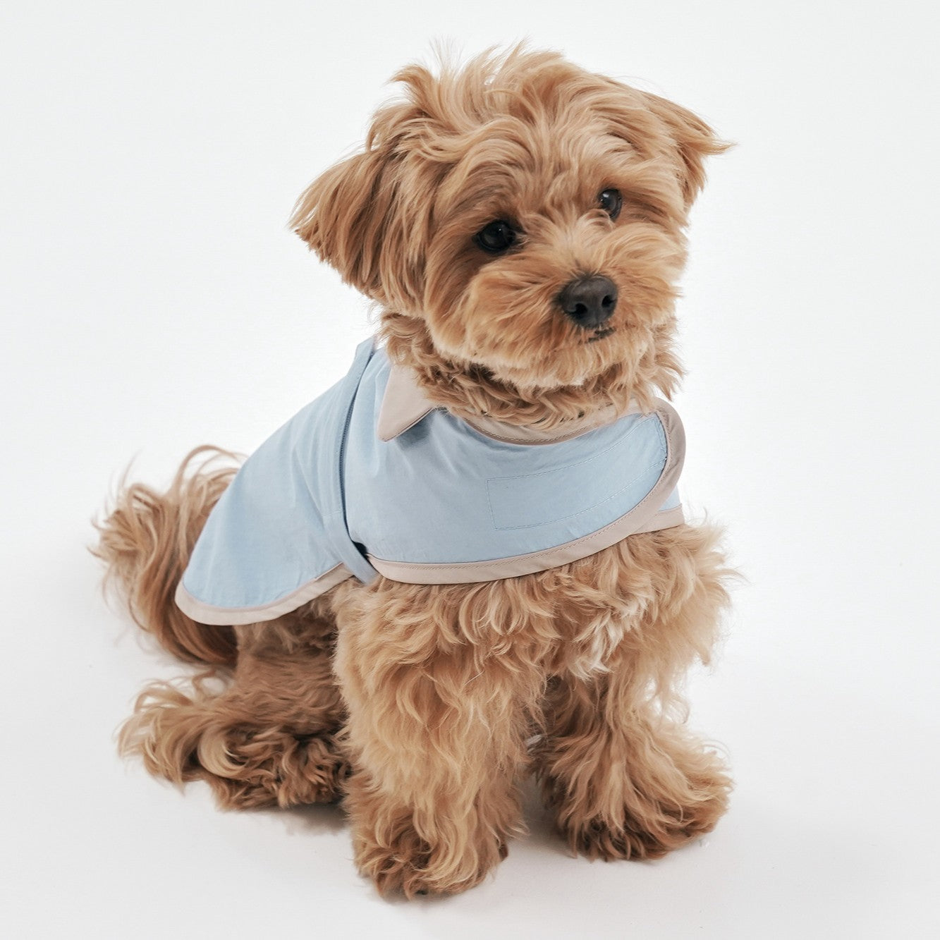 【予約】Tailoring Wind Jacket