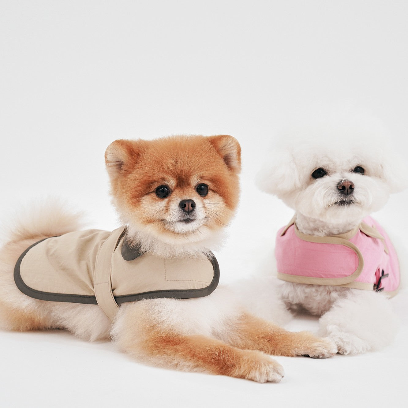 【予約】Tailoring Wind Jacket