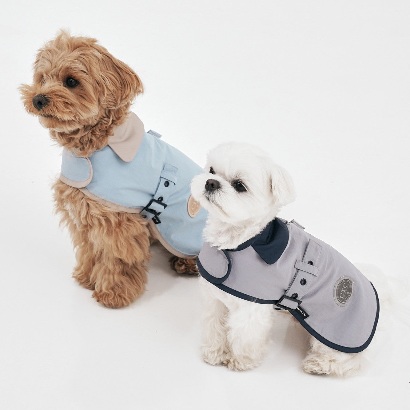 【予約】Tailoring Wind Jacket