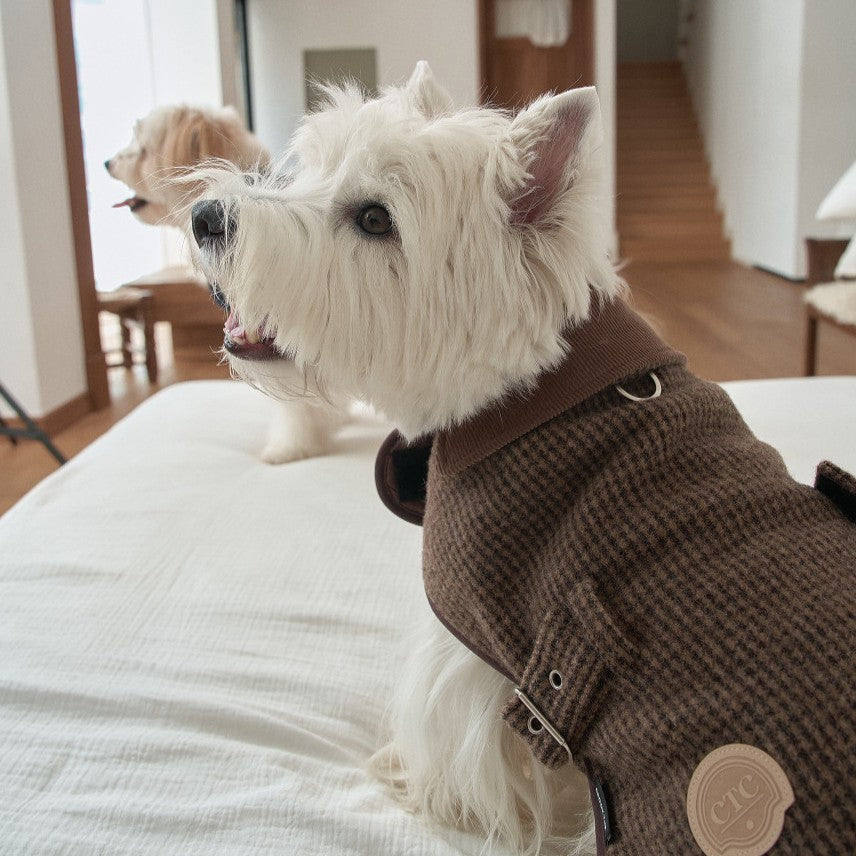 【一部即納】Signature Wool 100 Classic Jacket (2 color)