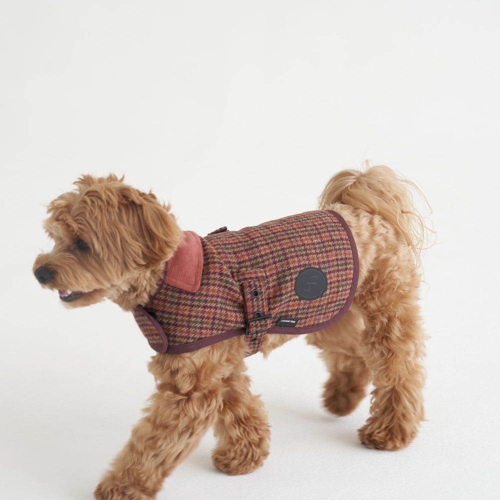 【予約】Wool classic bukle jacket