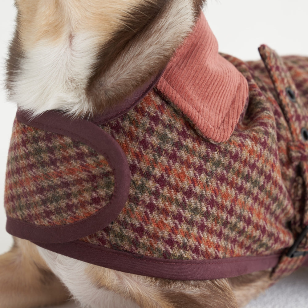 【予約】Wool classic bukle jacket