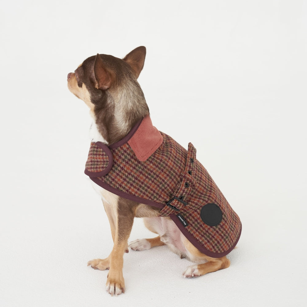 【予約】Wool classic bukle jacket