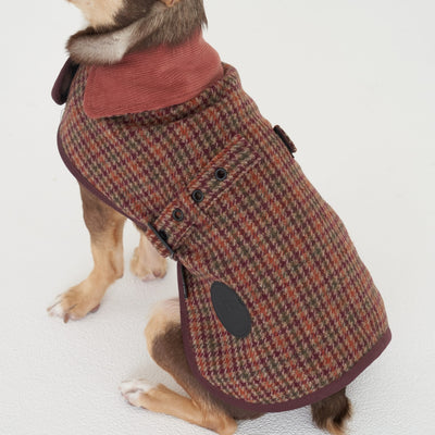 【予約】Wool classic bukle jacket