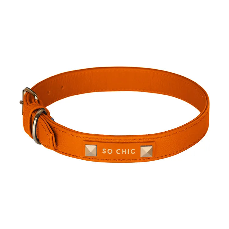 【予約】DOG COLLAR