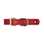 【予約】DOG COLLAR