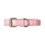 【予約】DOG COLLAR