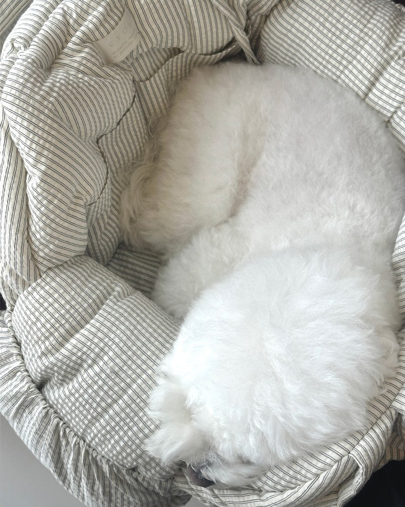 【予約】EYOU Hug bag｜犬用キャリーバッグ