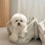 【予約】EYOU Hug bag｜犬用キャリーバッグ