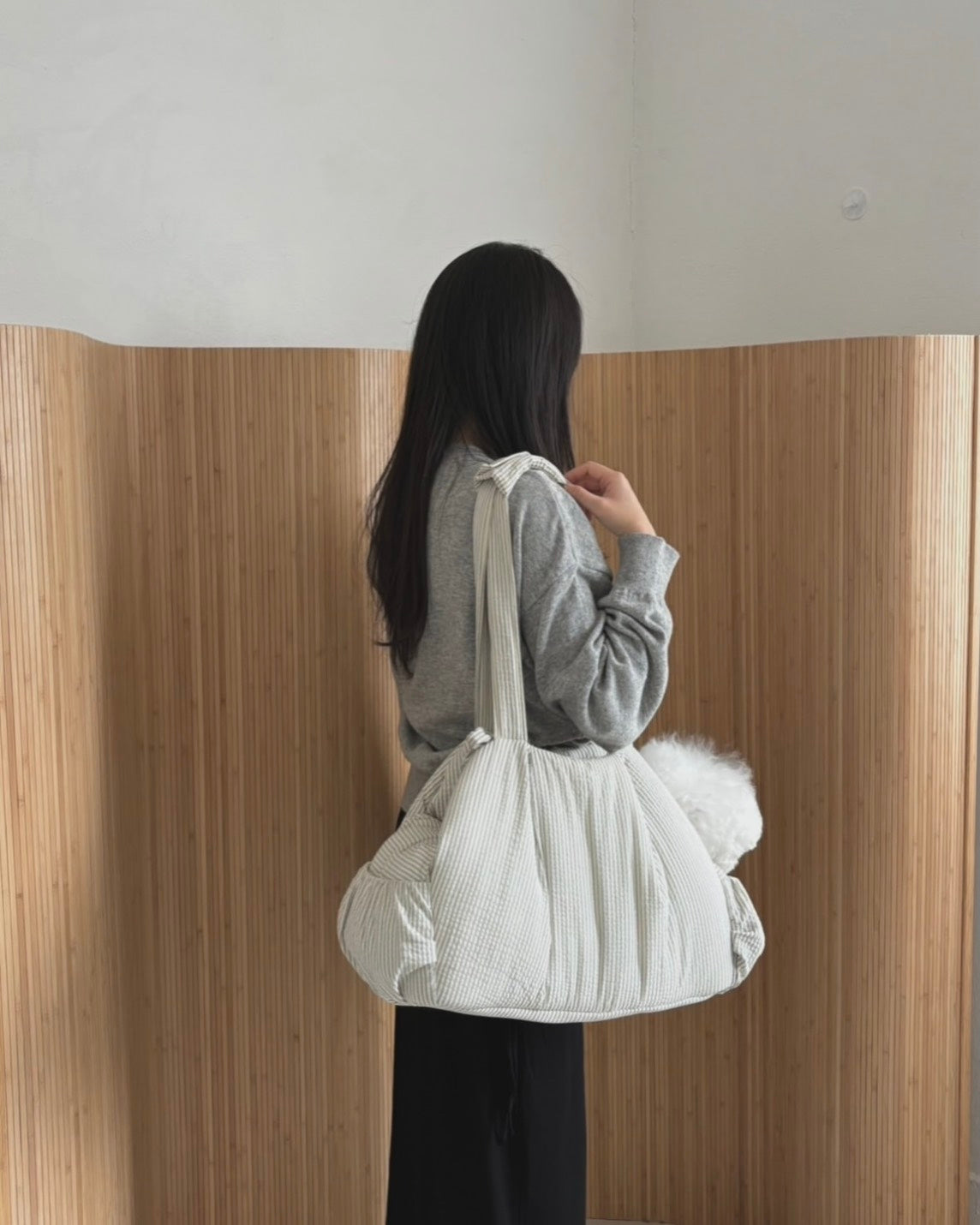 【即納】EYOU Hug bag｜犬用キャリーバッグ