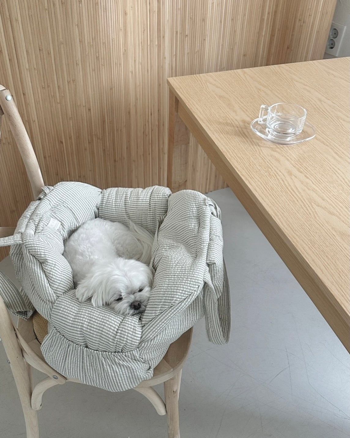 新着商品 | 韓国犬服・キャリーバッグのセレクトショップ PAW SELECT