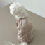 【予約】Mood Romantic All-in-One