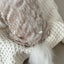 【予約】Mood Romantic All-in-One