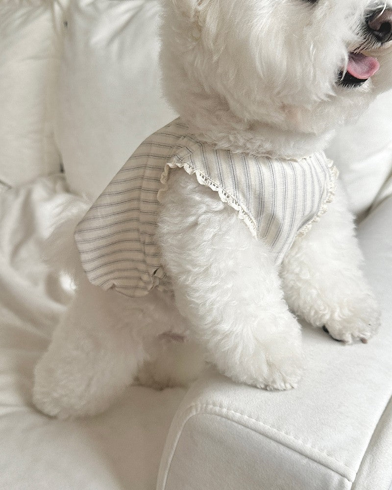 【予約】Stripe Balloon Vest