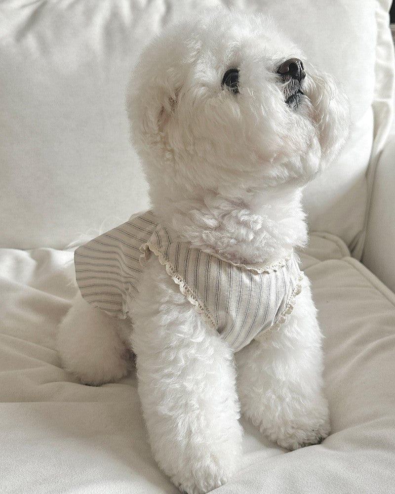 【予約】Stripe Balloon Vest