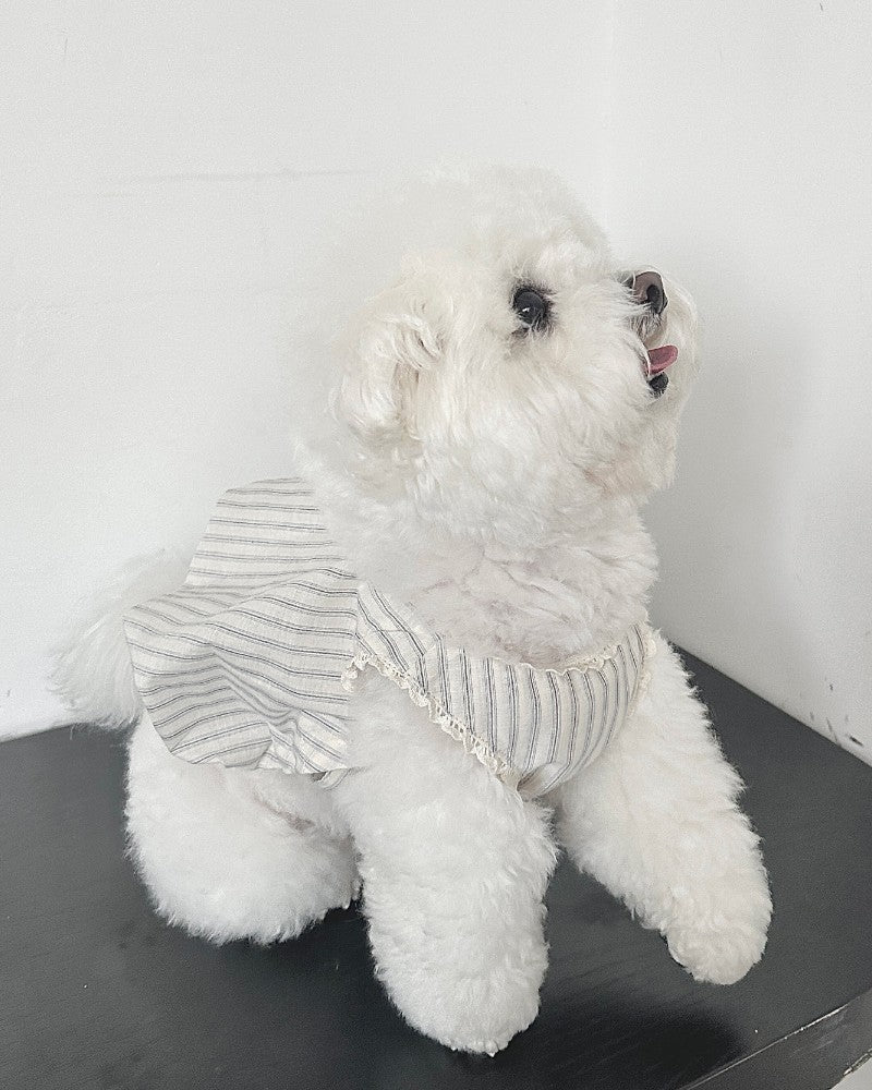 【予約】Stripe Balloon Vest