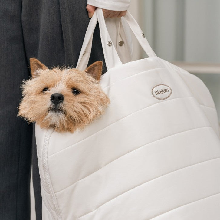 【予約】Air-Shell Car Seat