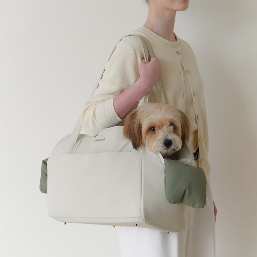 【予約】Cushion Bag