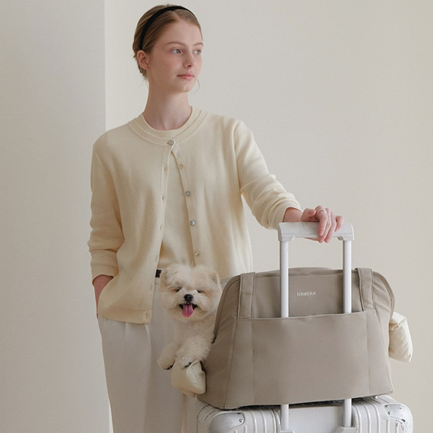 【予約】Cushion Bag