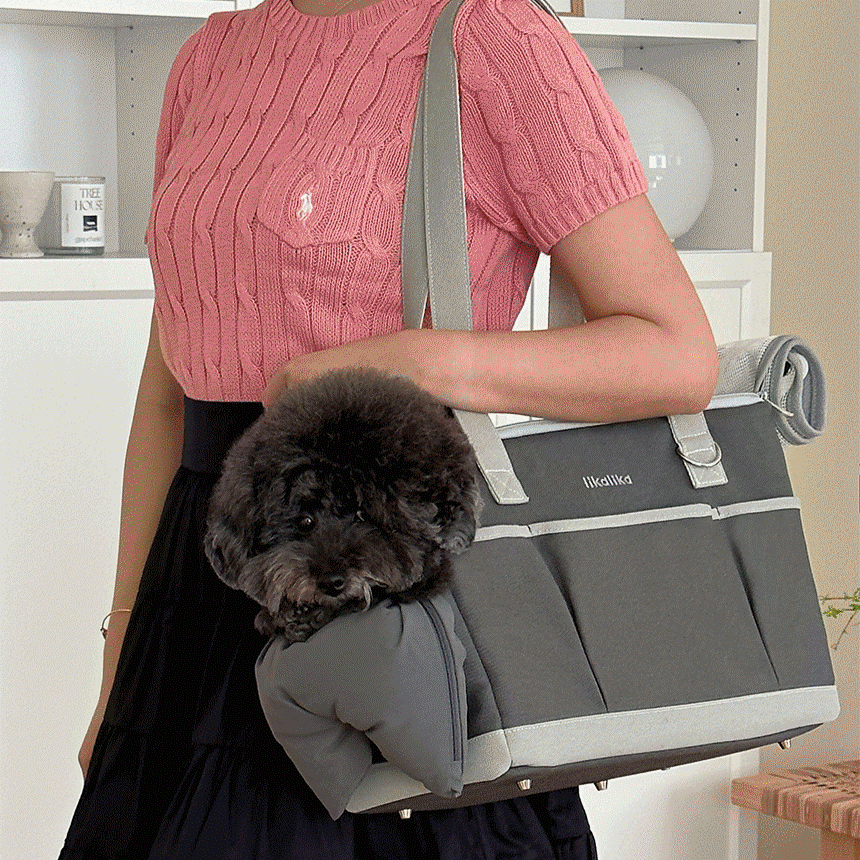 【予約】Lika Bag