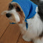 【予約】BABY SCARF