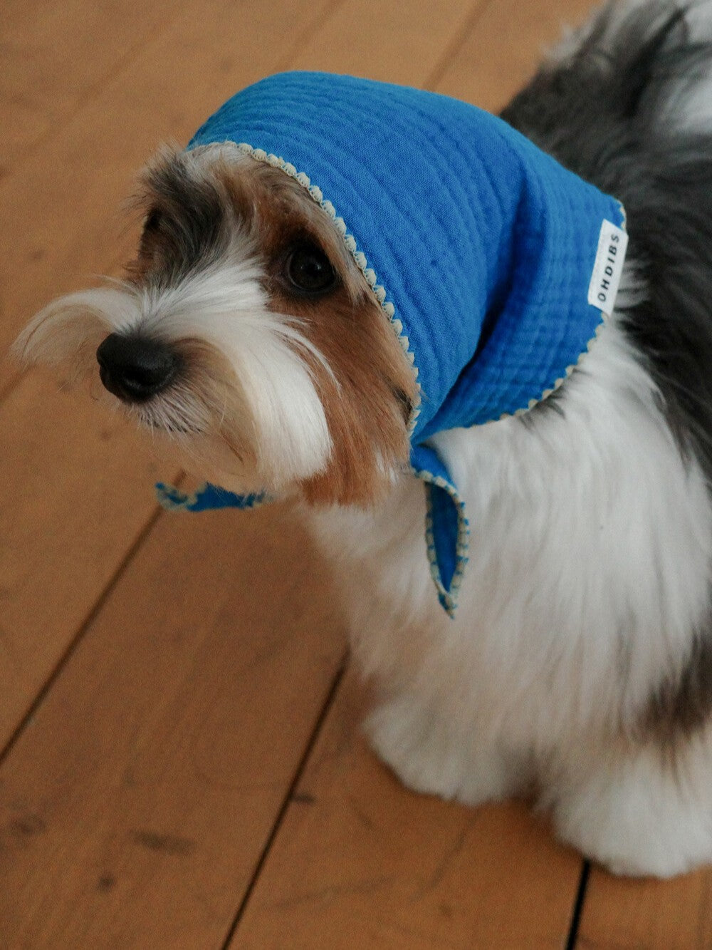 【予約】BABY SCARF