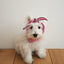 【予約】BABY SCARF