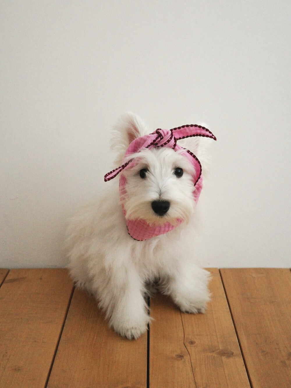【予約】BABY SCARF