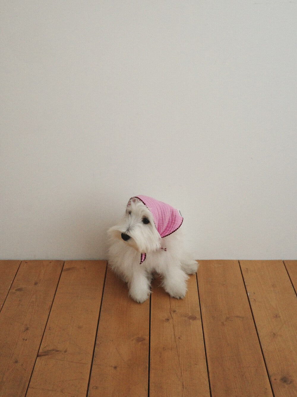 【予約】BABY SCARF