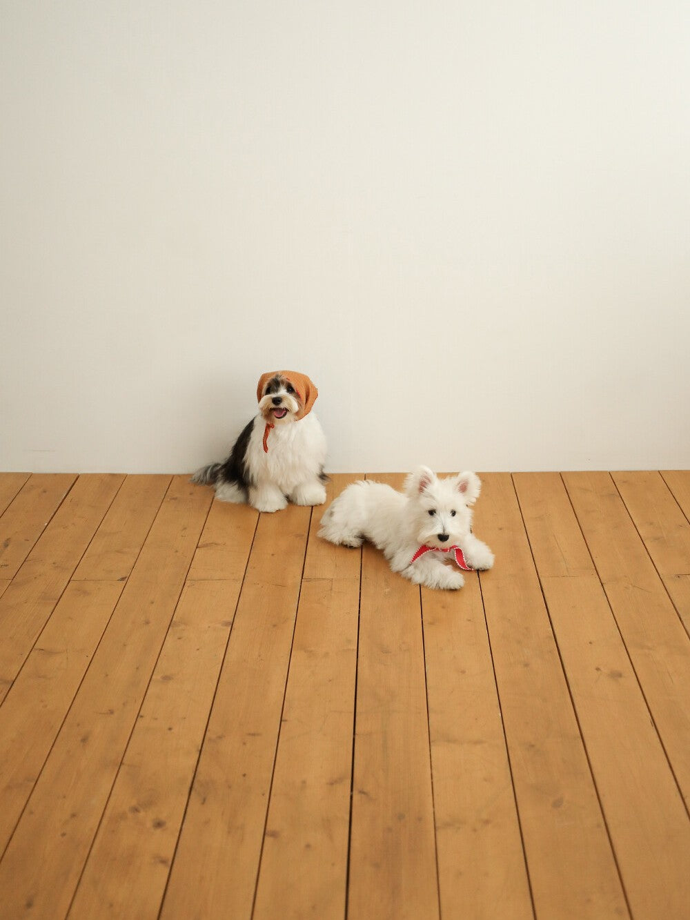【予約】BABY SCARF
