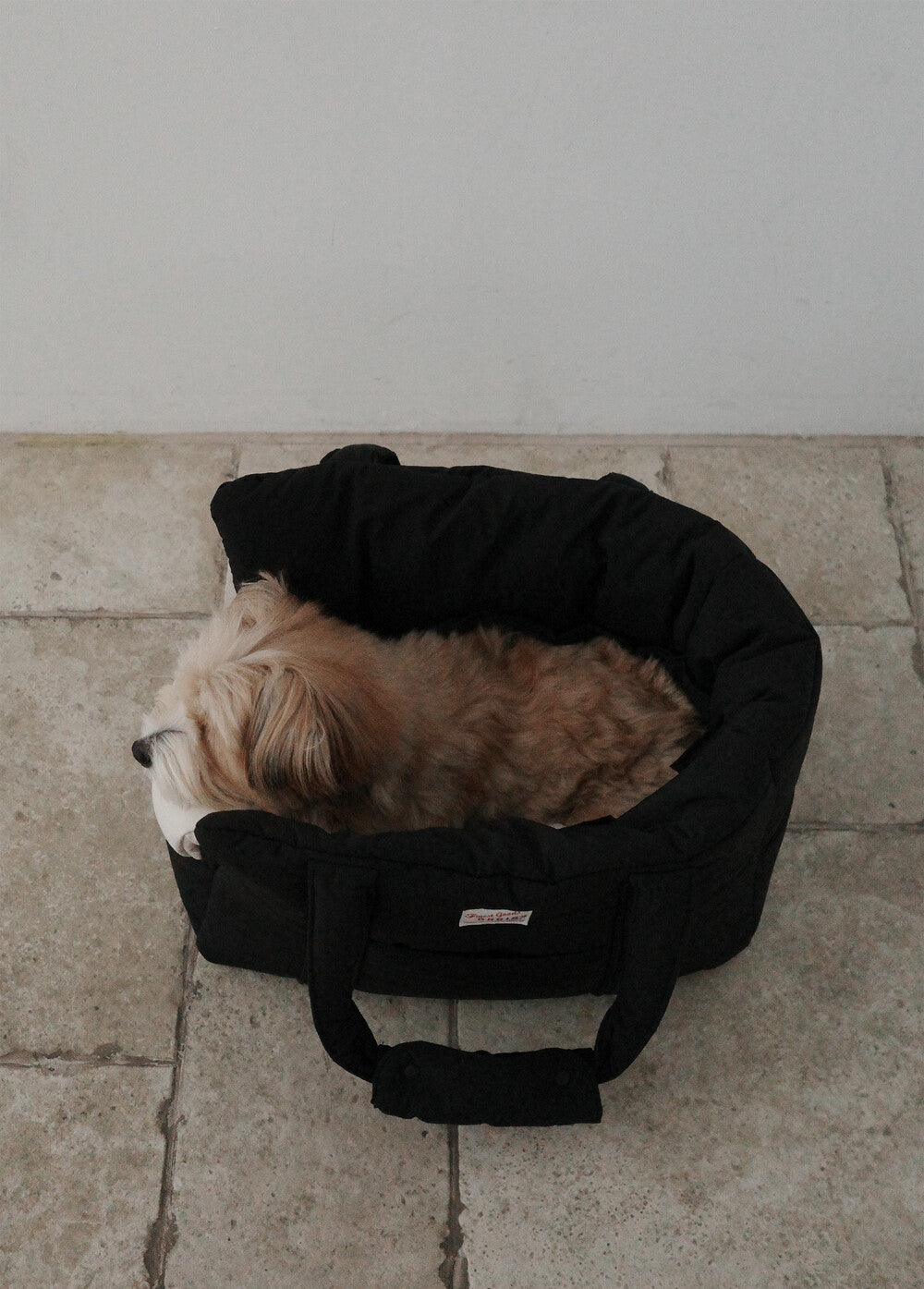 OHDIBS デイキャリーバッグ ブラック｜軽量・犬用キャリーバッグ｜パウ