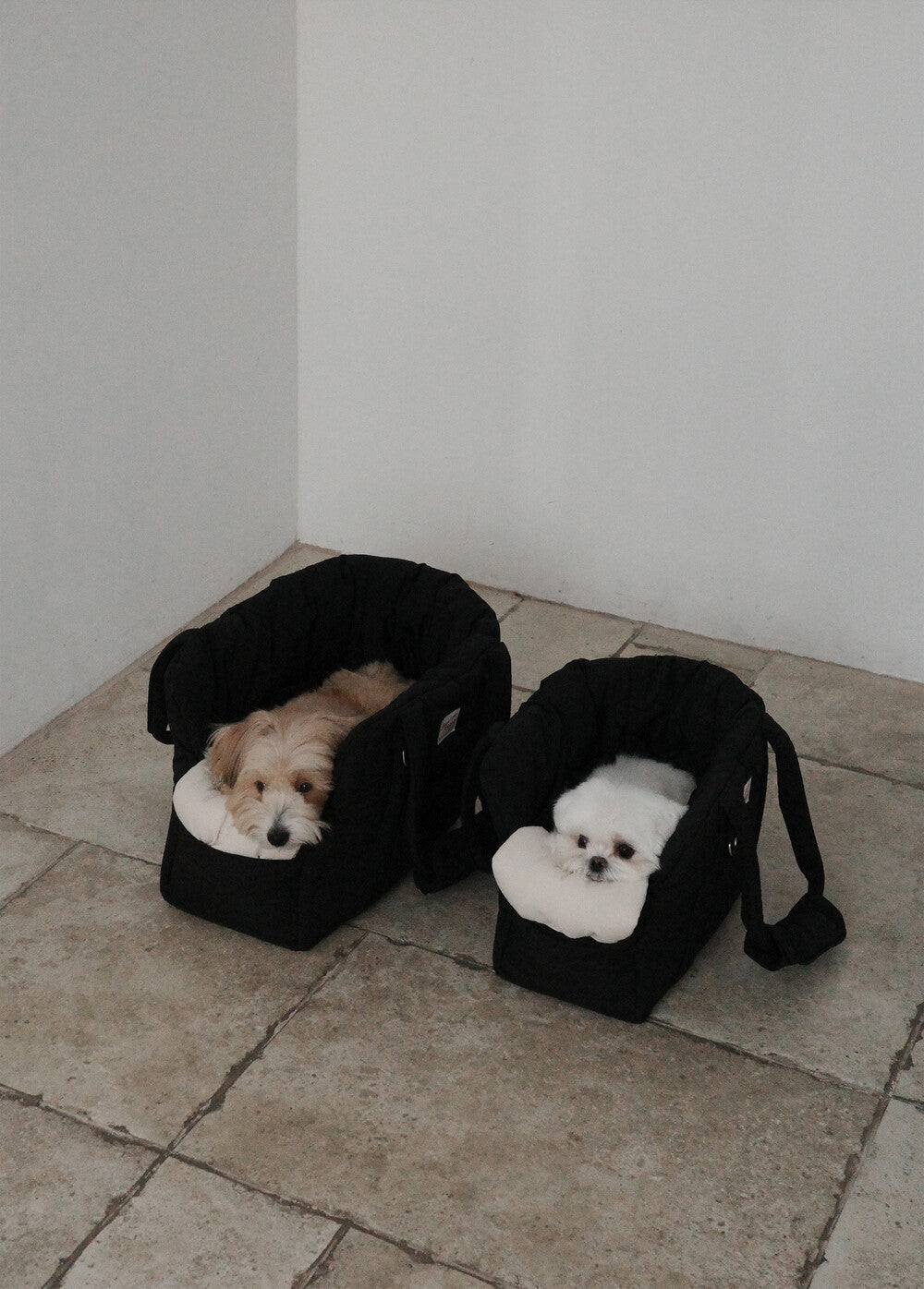 OHDIBS デイキャリーバッグ ブラック｜軽量・犬用キャリーバッグ｜パウ