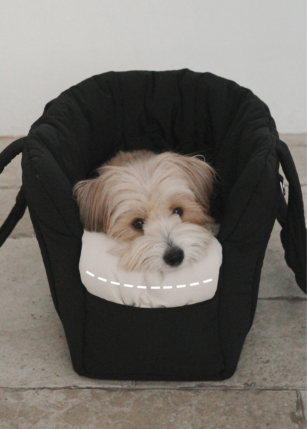 OHDIBS デイキャリーバッグ ブラック｜軽量・犬用キャリーバッグ｜パウ