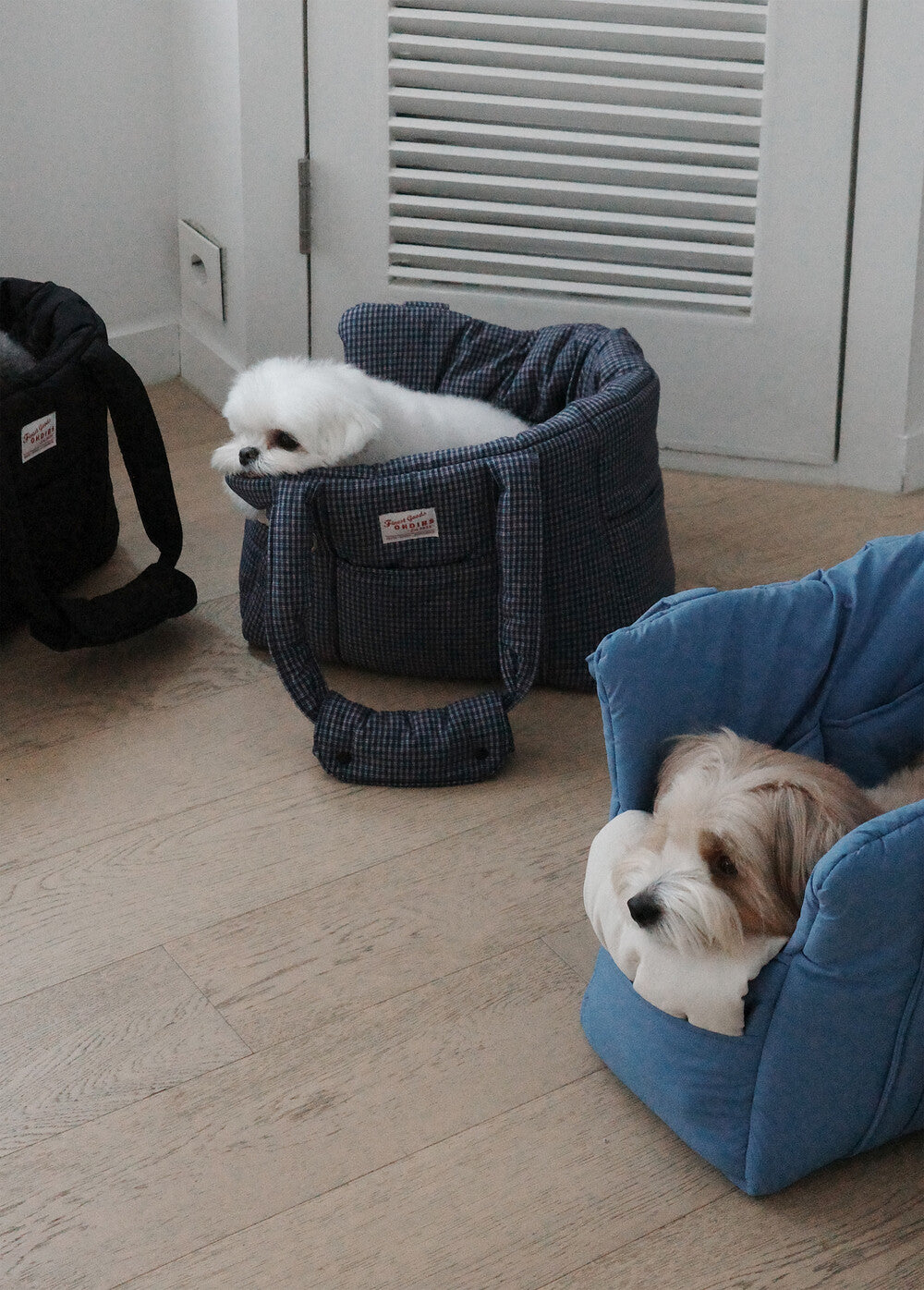 【予約】DAY CARRY BAG (pale blue)