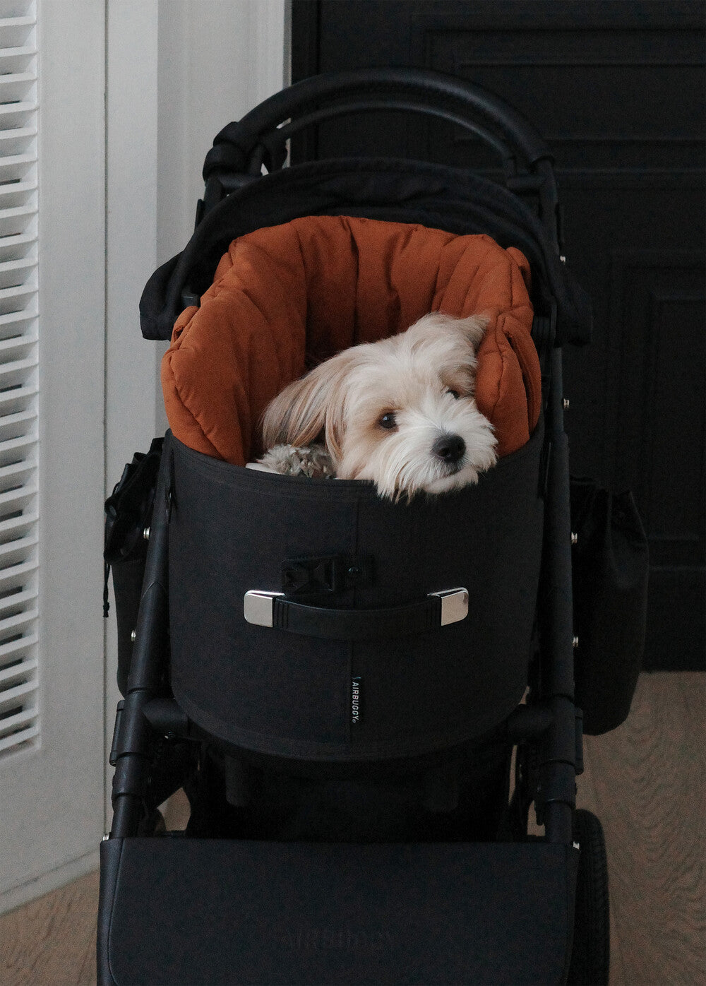 【予約】 DAY CARRY BAG (brick orange)