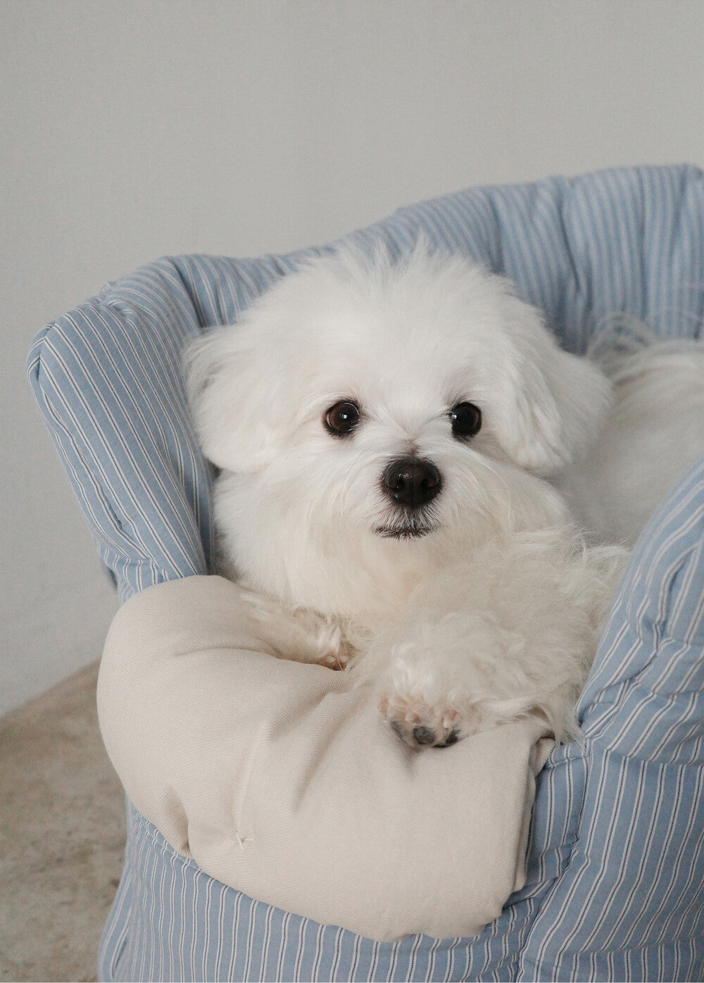 OHDIBS デイキャリーバッグ ブルーストライプ｜軽量・犬用キャリー