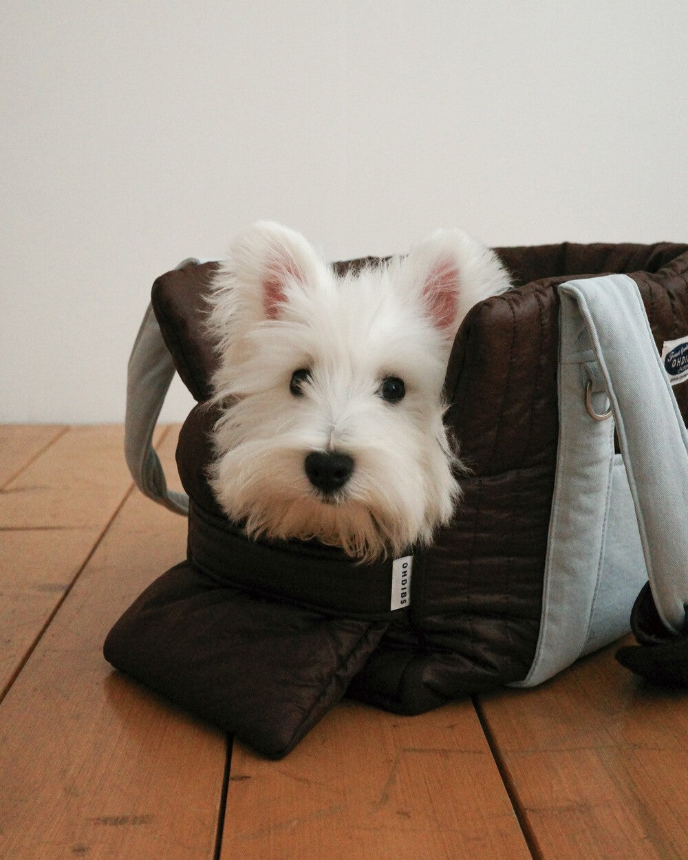 OHDIBS DAY CARRY BAG 2.0｜軽量・犬用キャリーバッグ｜パウセレクト