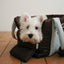 【予約】 DAY CARRY BAG 2.0｜犬用キャリーバッグ