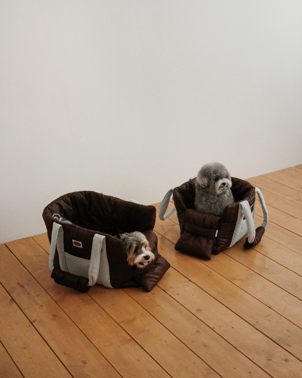 【予約】 DAY CARRY BAG 2.0｜犬用キャリーバッグ