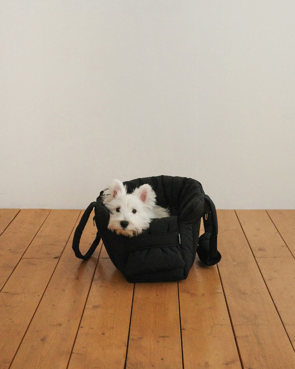 【予約】 DAY CARRY BAG 2.0｜犬用キャリーバッグ