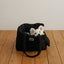 【予約】 DAY CARRY BAG 2.0｜犬用キャリーバッグ