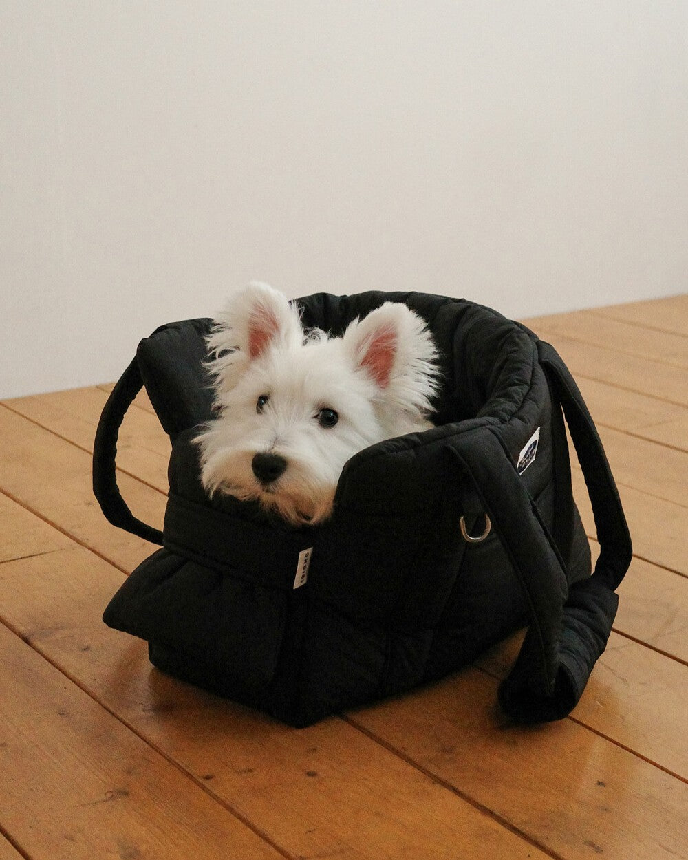 【予約】 DAY CARRY BAG 2.0｜犬用キャリーバッグ