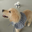 【予約】Denim Cotton Cape