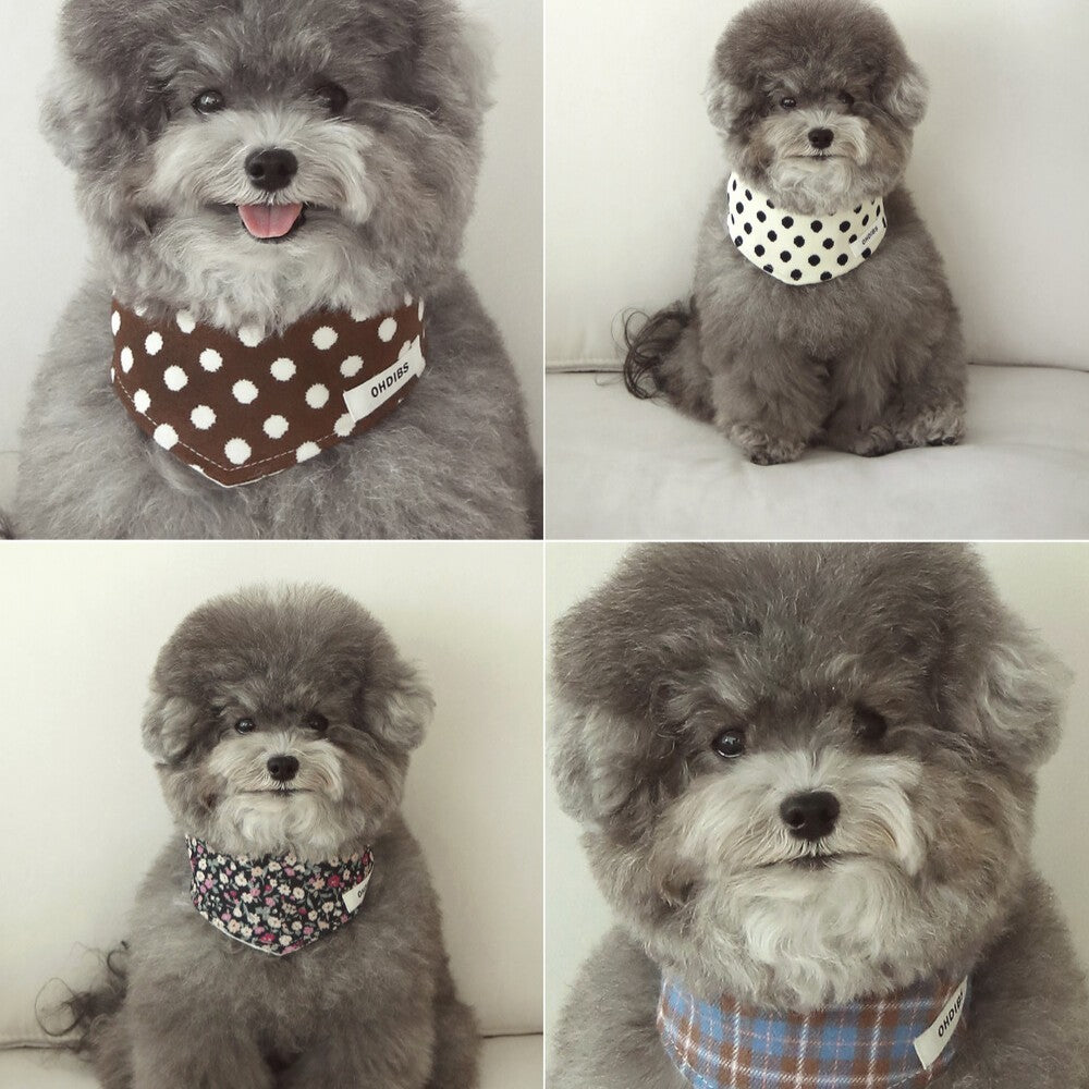 dibs signature modal scarf｜PAW SELECT（パウセレクト） – OHDIBS