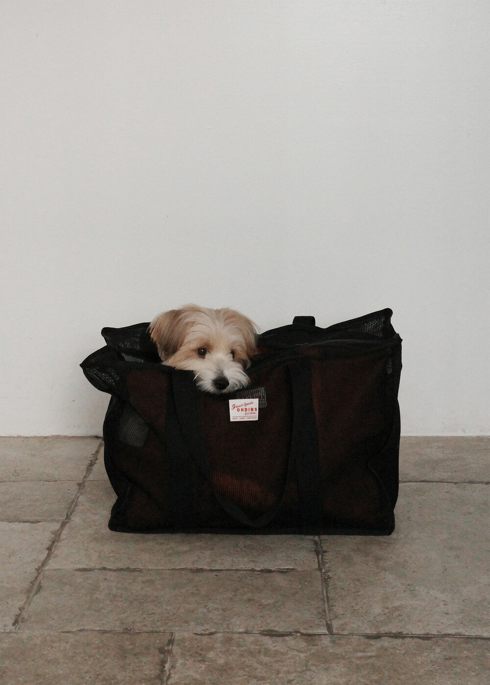 犬用キャリーバッグ・スリング｜おしゃれな韓国デザイン移動用品｜PAW