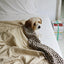 【予約】Grandma Blanket