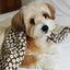 【予約】Grandma Blanket